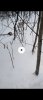 Screenshot_2025-01-12-23-50-15-044_com.miui.gallery.jpg