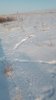 IMG-20250126-WA0004.jpg