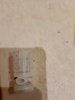 IMG_20250131_183818_538.jpg