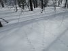 IMG_5776.JPG