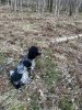 IMG_2092.jpeg