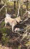 IMG_4071.jpeg