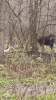IMG_1996.png