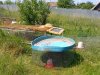IMG_20250617_121621666.jpg