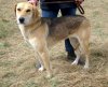 рг ср с 3 Флейта Остапенко Фото.jpg