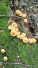 IMG-20250711-WA0039.jpeg