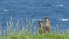 IMG-20250713-WA0006.jpg