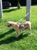 IMG_0671.jpeg