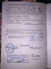 Паспорт Сайга.jpg