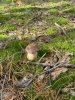 IMG_5457.jpeg