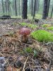 IMG_5464.jpeg