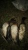 IMG-20250830-WA0045.jpeg