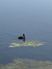 IMG_2179.jpeg