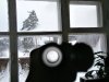 P1080063.JPG