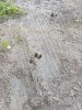 IMG_20260912_075836.jpg