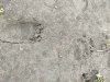 LovVHH3y5UiXpfUcJD40O0FnlscHI7LeuaUbEVFlx_Sf2JWNeTtVx1p6BysW8afslr4RkETzVoo9WUmNw6irm4yl.jpg