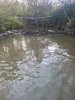 IMG_20260923_185425_257.jpg
