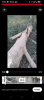 Screenshot_20261003-111310.png