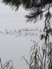 IMG_20261017_112832_691@435762603.jpg