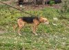 IMG_20261029_121821_410.jpg