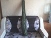 IMG0035A.jpg