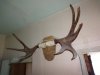 DSC03105.JPG