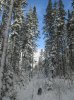 IMG_1765.JPG
