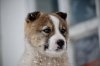 DSC_7013.JPG