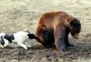 DSC05243.JPG