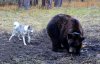 Копия DSC_1419.JPG