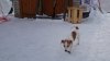 DSC_0175.JPG
