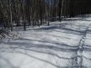 DSC00638.JPG