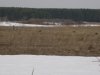 IMG_0241.JPG