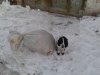 20150330_183934.jpg