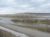 DSCN0685.JPG