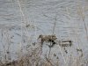 DSCN0700.JPG