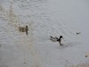 DSCN0704.JPG