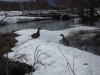 DSCF1198.JPG