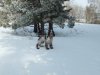 DSCF1529.JPG