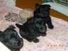 DSCN3439.JPG