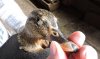 DSCN0731.JPG