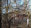 2015-04-29-904.jpg