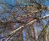 2015-04-29-908.jpg