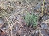 2015-04-29-906.jpg