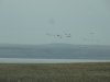 DSC02339.JPG