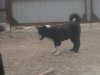 20150429_194903.jpg