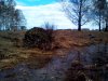 IMG_20150425_150731.jpg