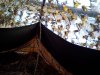 IMG_20150425_150825.jpg