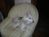 DSCN3906.JPG