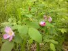 2015-06-07-958.jpg